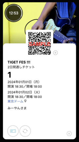 tiget_through_ticketsample